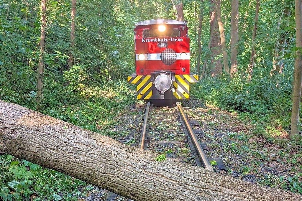 Ein Baum krachte auf das Gleisbett der Parkeisenbahn.