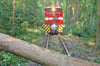 Ein Baum krachte auf das Gleisbett der Parkeisenbahn. 