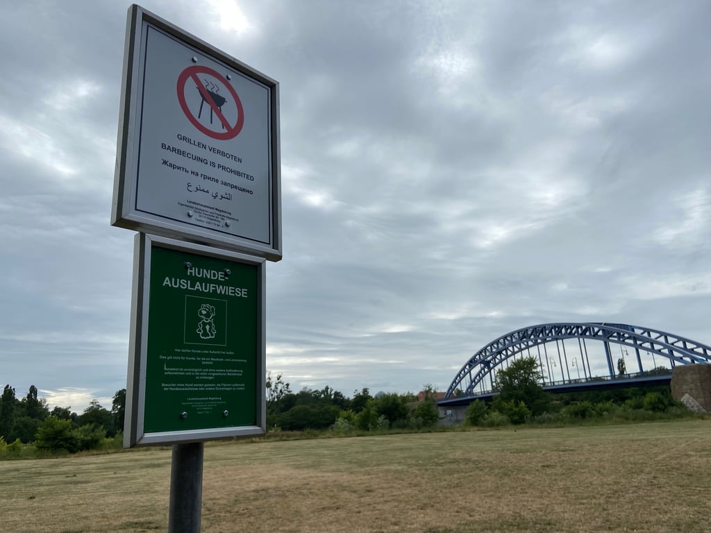 Die Hundewiese nahe der Sternbrücke in Magdeburg wurde immer wieder für Picknick und zum Grillen zweckentfremdet. Nun wurde ein mehrsprachiges Schild angebracht, das das Grillen eindeutig verbietet.