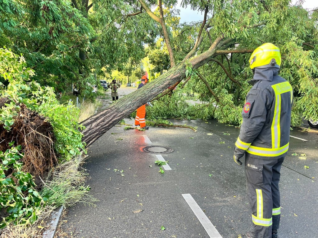 Am späten Nachmittag und Abend ziehen Unwetter über Teile Deutschlands.
