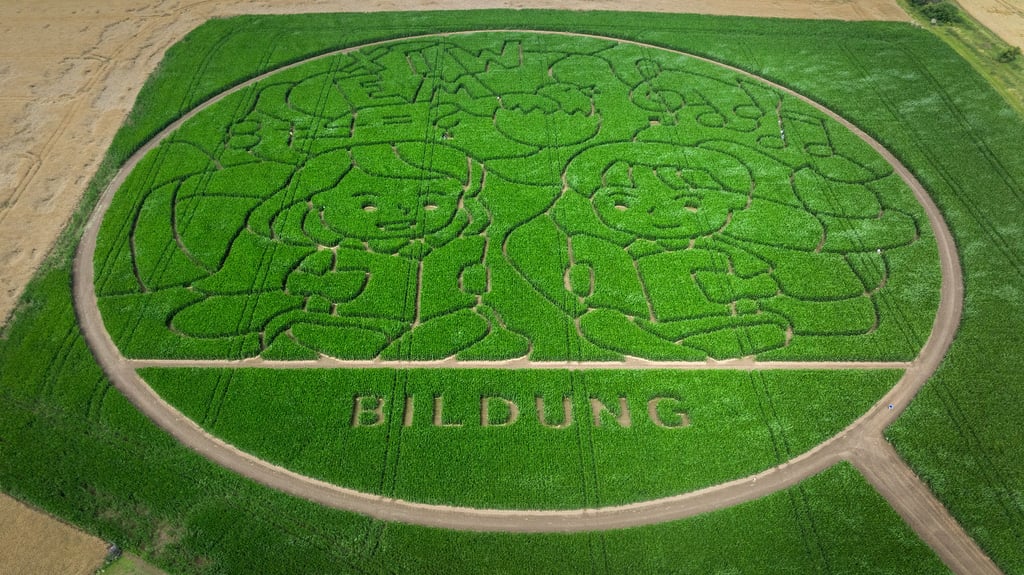Jedes Jahr gibt es beim Maislabyrinth ein neues Motiv.