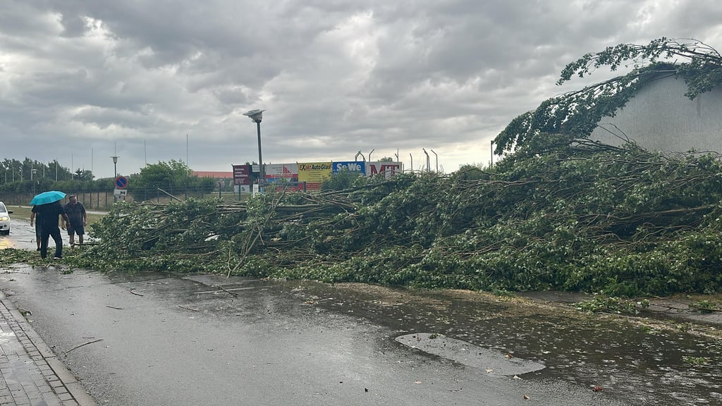 Ein schweres Gewitter ist am Donnerstag, 26. Juni, kurz nach 17 Uhr über die Altmark gezogen. Hier am Galgenberg ist ein großer Baum auf die Straße gefallen.
