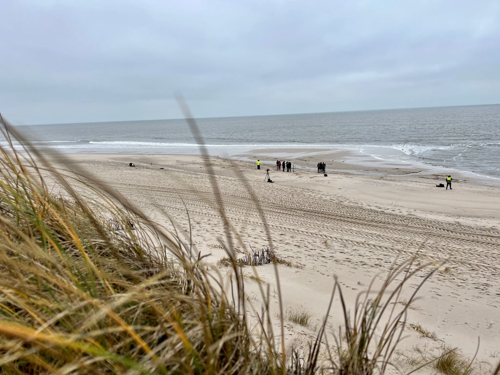 Am Rantumer Strand auf Sylt hat die Polizei einen Hund erschossen, nachdem dieser seinen Besitzer schwer verletzt hat. (Symbolfoto)