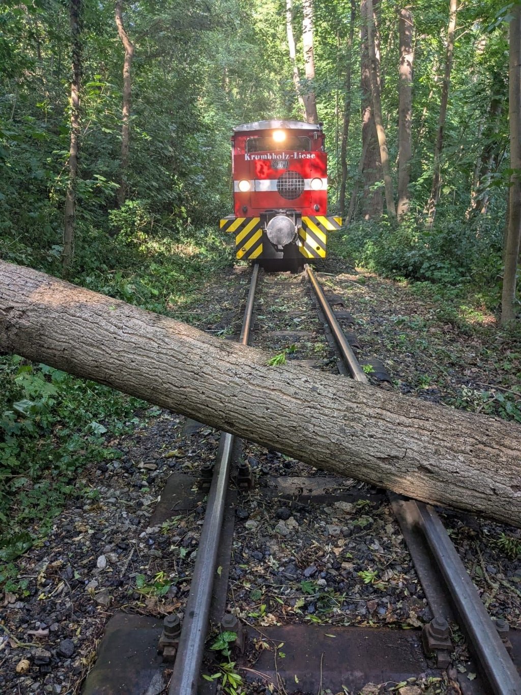 Ein Baum krachte auf das Gleisbett der Parkeisenbahn.