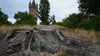Der Park Babelsberg ist von der Trockenheit deutlich gezeichnet.