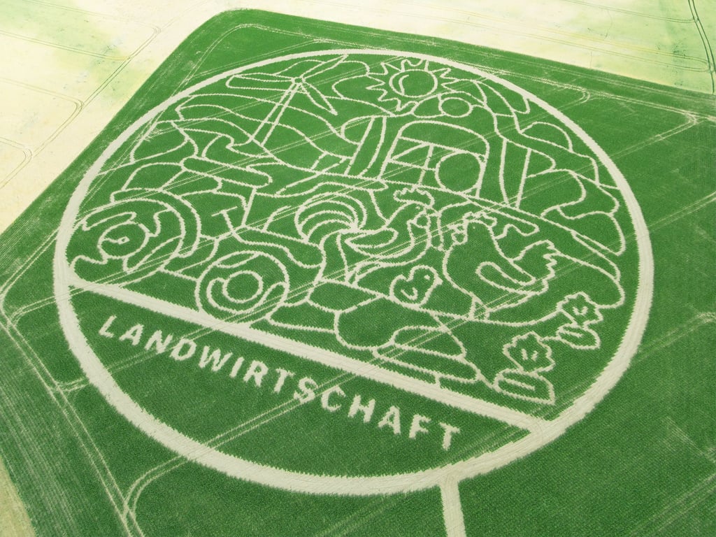 Das diesjährige Motiv des Maislabyrinths am Petersberg bei Halle aus der Vogelperspektive