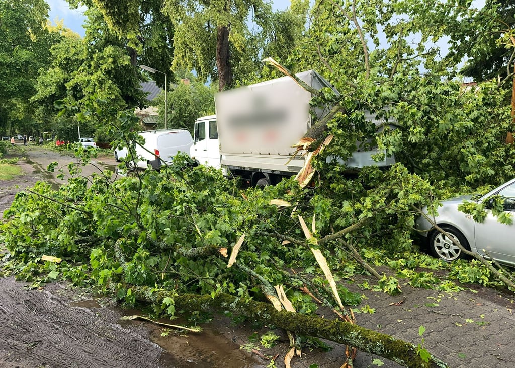 Ein Baum ist im Berliner Stadtteil Heiligensee durch schwere Böen auf Autos und einen Transporter gefallen.