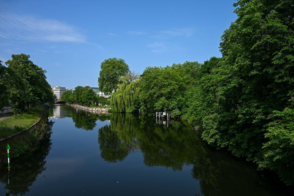 Die Berliner Grünen setzen auf mehr Bäume, um die Folgen des Klimawandels abzumildern. (Archivfoto)