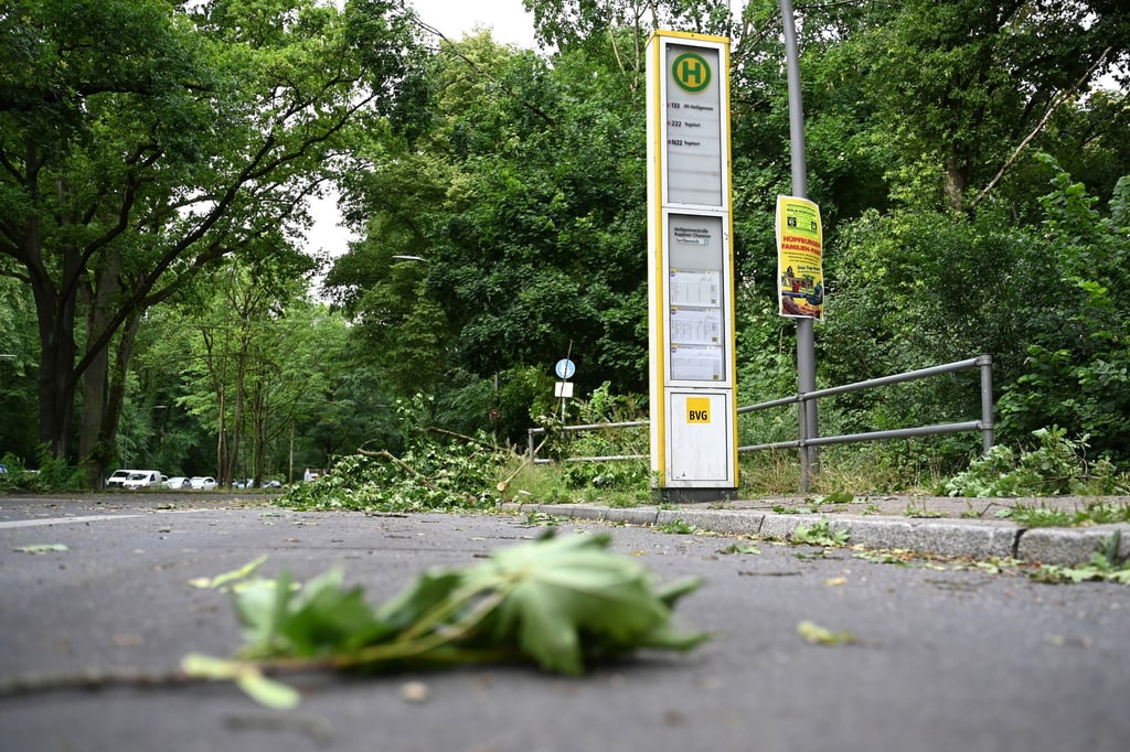 Die Schäden im Tegeler Forst sind erheblich.