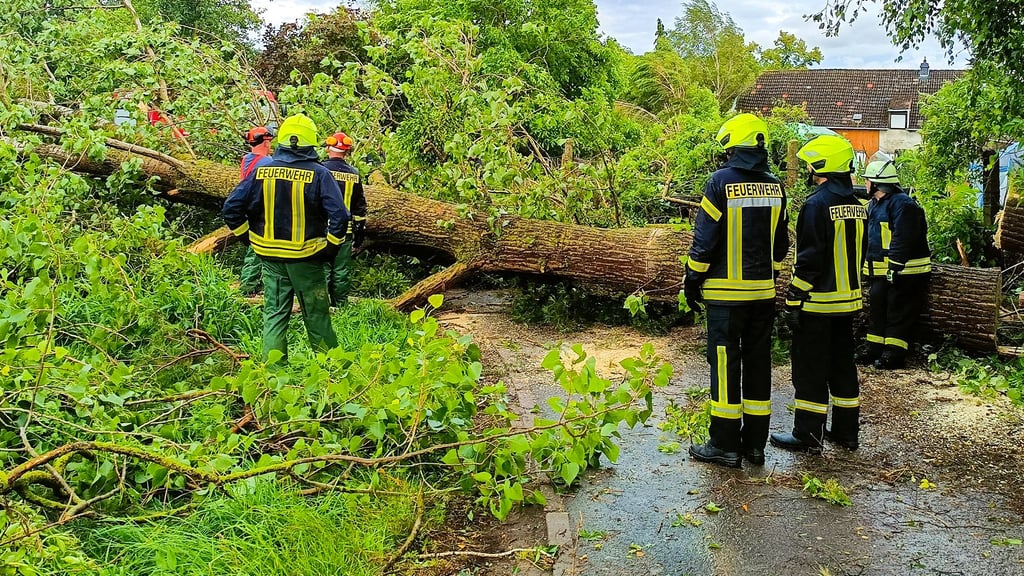 Viele umgestürzte Bäume müssen beseitigt werden, um Rettungwege frei zu halten.
