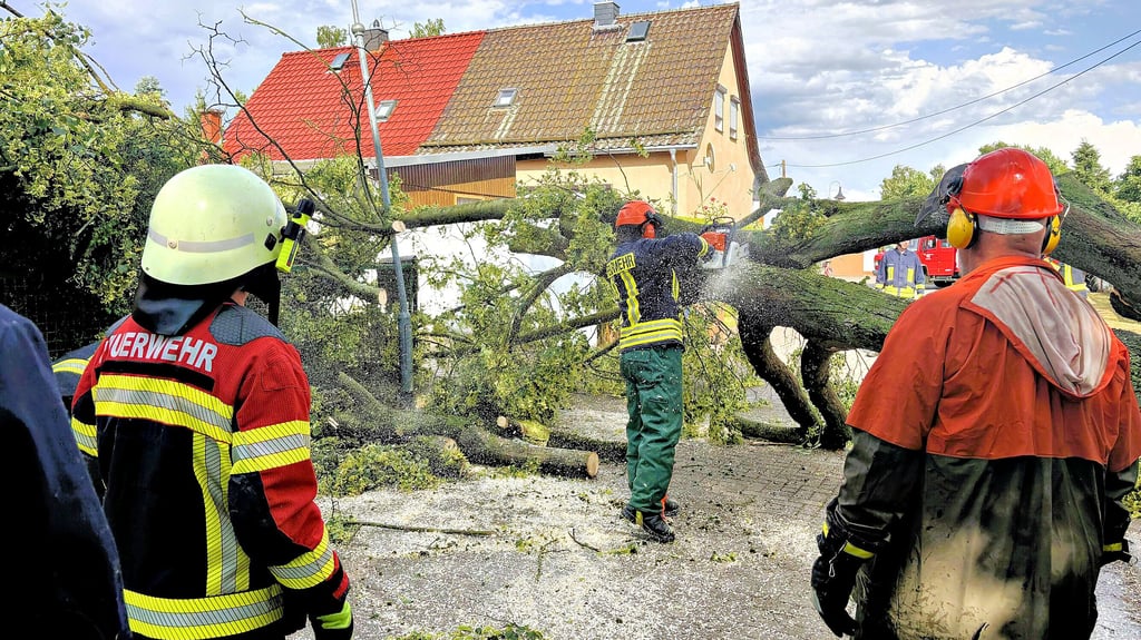 In Dobritz stürzte eine mächtige Linde um, als die Unwetterfront über die Zerbster Region zog.