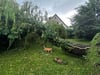 Umgestürzte Bäume gab es in der gesamten Einheitsgemeinde Hansestadt Gardelegen. Diese schöne große Weide stand im Garten der Familie Hietel-Heuer. 