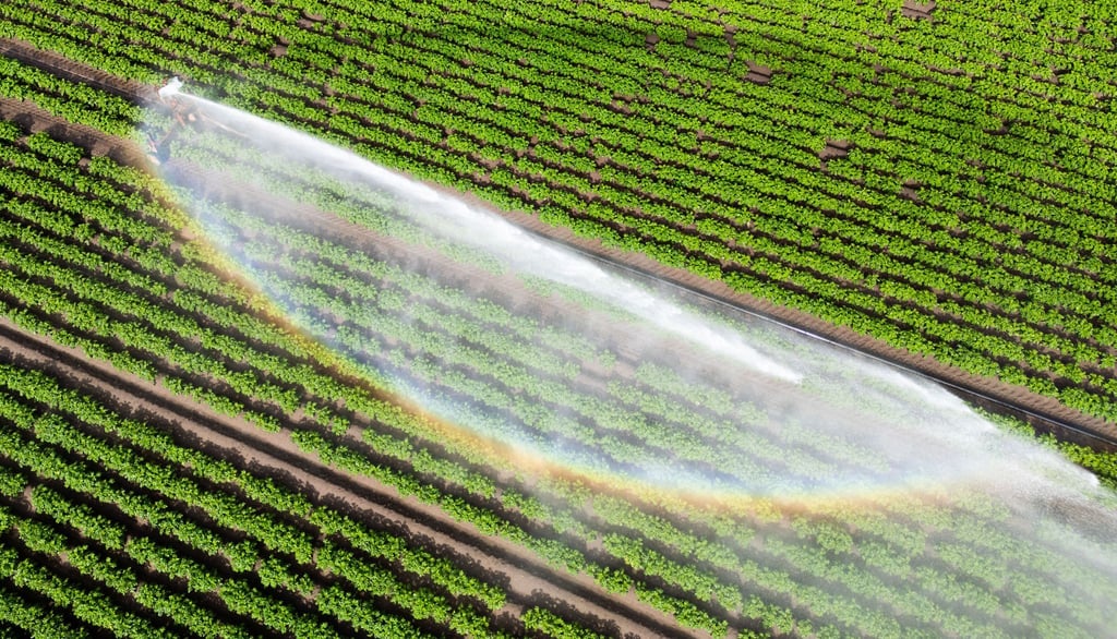 Wasser kann Luxus sein - wenn es knapp ist und für die Landwirtschaft gebraucht wird. (Illustration)