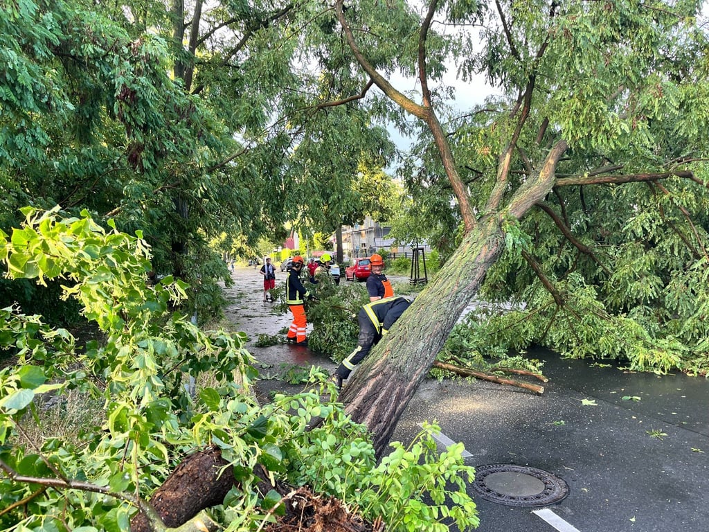 Die Aufräumarbeiten nach dem Unwetter dauern in Berlin und Brandenburg an.