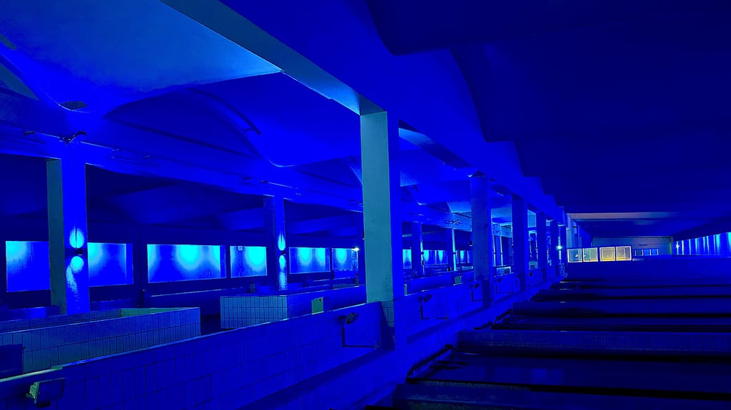 In 48 Filterbecken wird das Wasser im Wasserwerk Wienrode aufbereitet.