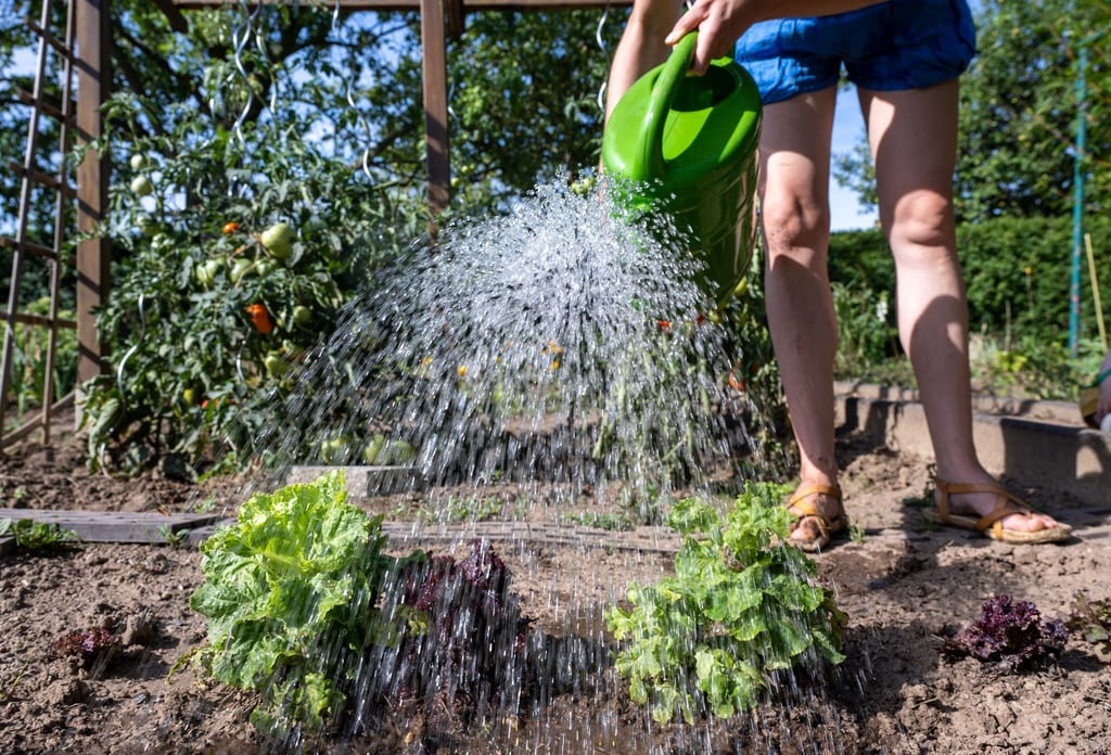 Der Wassermangel zwingt Teile Sachsen-Anhalts zu drastischen Maßnahmen. (Archivbild)