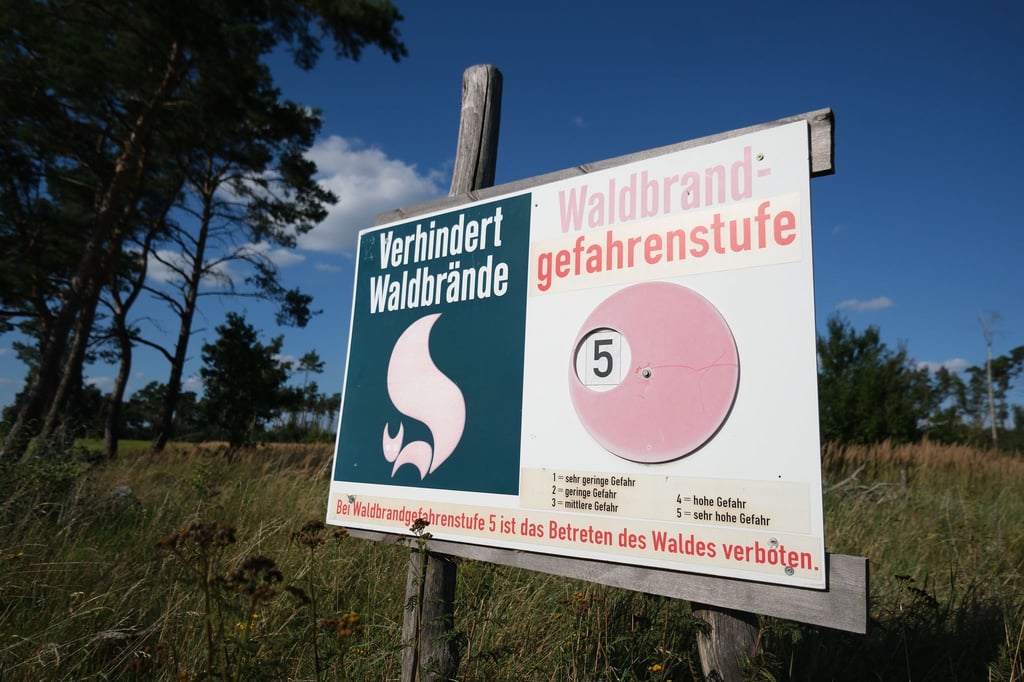 Sachsen steht eine Hitzephase bevor - die Waldbrandgefahr steigt. (Archivbild)