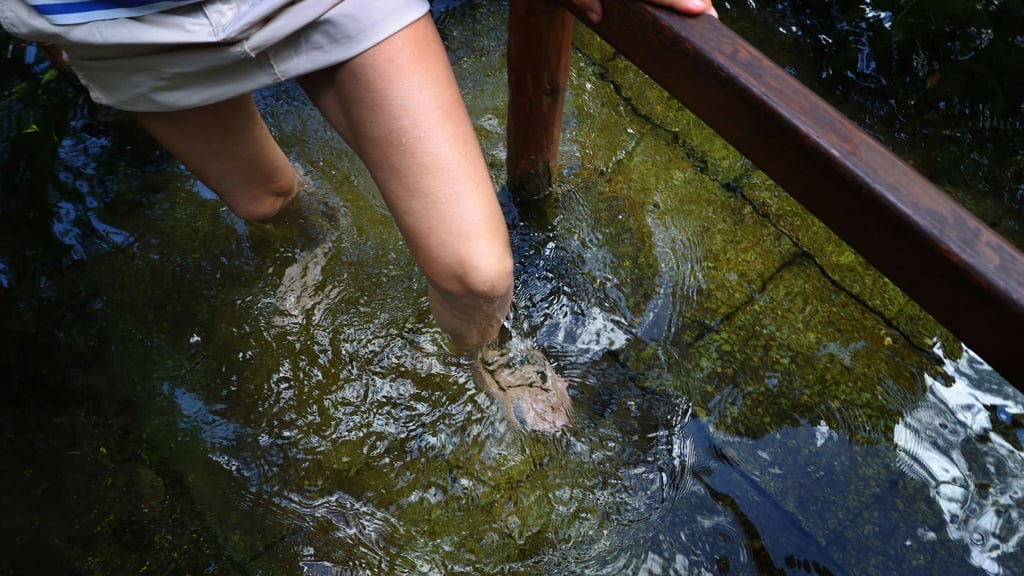 Kneipp-Angebote wie Wassertreten sind in Thüringen nicht nur unter Gesundheitsurlaubern beliebt (Symbolfoto).