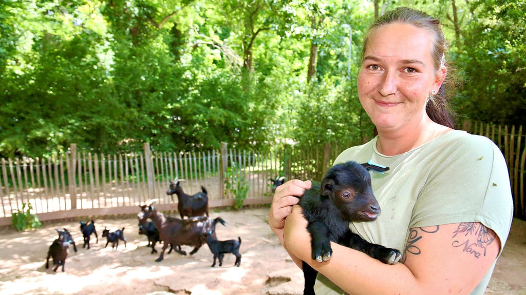 Ina Salewksi, Mitarbeiterin des Tiergartens in Bernburg, hält eines der insgsamt zwölf Ziegen-Lämmer auf dem Arm.
