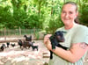 Ina Salewksi, Mitarbeiterin des Tiergartens in Bernburg, hält eines der insegsamt zwölf Ziegen-Lämmer auf dem Arm.