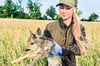 Luisa Paulo mit einem Kitz, das mit Hilfe einer Drohne und Wärmebildkamera bei Burg erspäht werden konnte. 