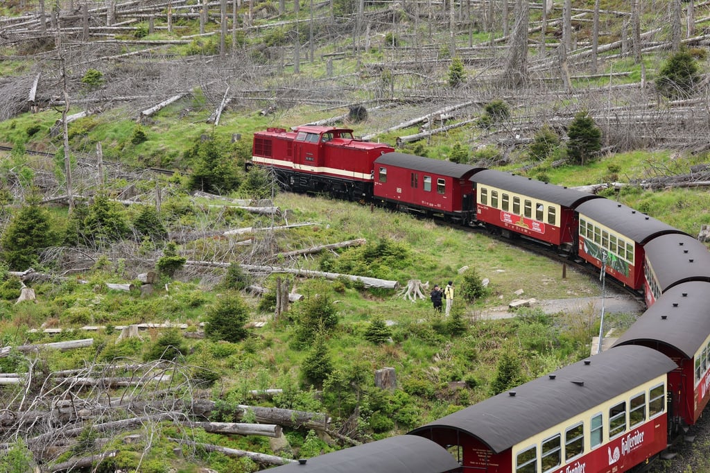 Harzer Schmalspurbahn wegen Waldbrandgefahr mit Dieselloks unterwegs (Archivbild).