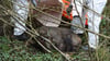 Teile eines verwesenden Wildschweins wurden in einem Plastiksack bei Bad Lauchstädt gefunden.