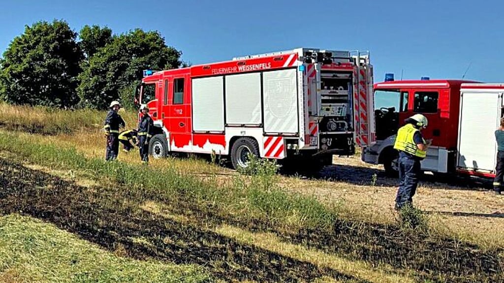 Außer ein paar verkohle Streifen richtete der Feldbrand auf dem Tschirnhügel keinen größeren Schaden an.