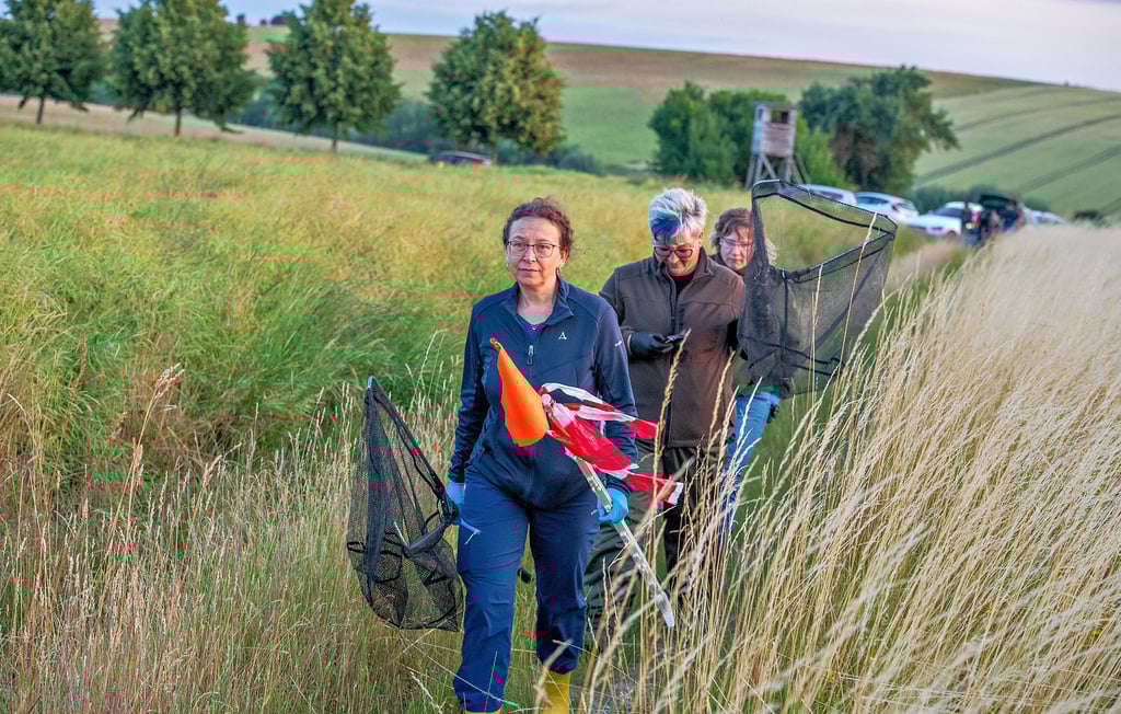 Mit Kescher, Box und Markierwimpel: Friederike Ehrler (v. l.), Babett Mohran und Laura Lippert auf dem Weg zu einer Fundstelle.