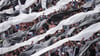 Botafogo-Fans bei der Club-WM.