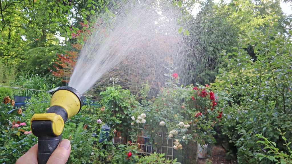 Der Sommer kommt und bringt hohe Temperaturen mit. In einigen Orten in Sachsen-Anhalt ist jetzt das Wässern verboten.