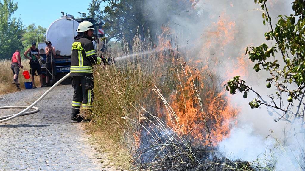 Die Flammen fraßen sich durch das Grasland, immer am Feldrand entlang.