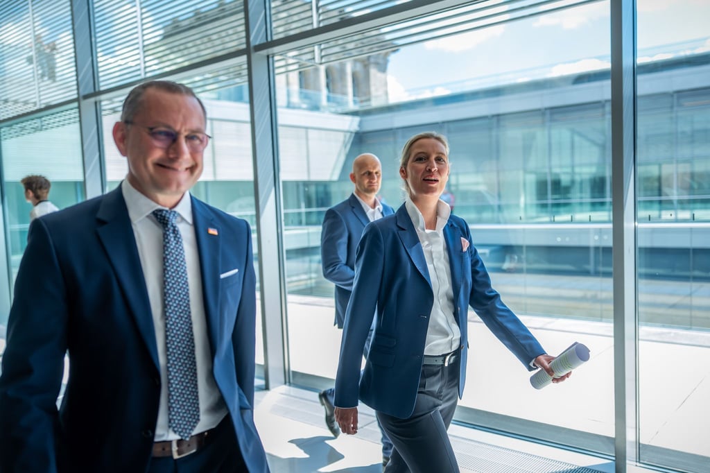 Die AfD-Chefs Tino Chrupalla (l.) und Alice Weidel können sich über einen spürbaren Anstieg ihrer Monatseinkünfte freuen. (Archivbild)