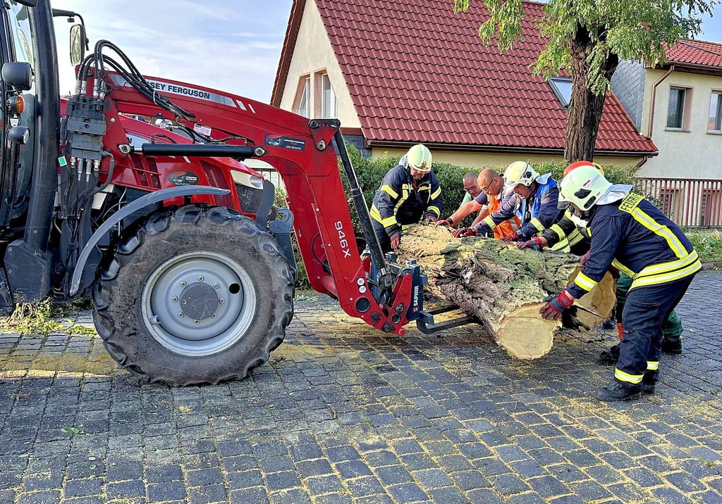 Am 18. August 2023 knickte ein Sturm in Egeln mehrere Bäume um. Die Kameraden der Ortswehren Egeln und Westeregeln sowie die Egelner Bauhof-Mitarbeiter beseitigten die Schäden.
