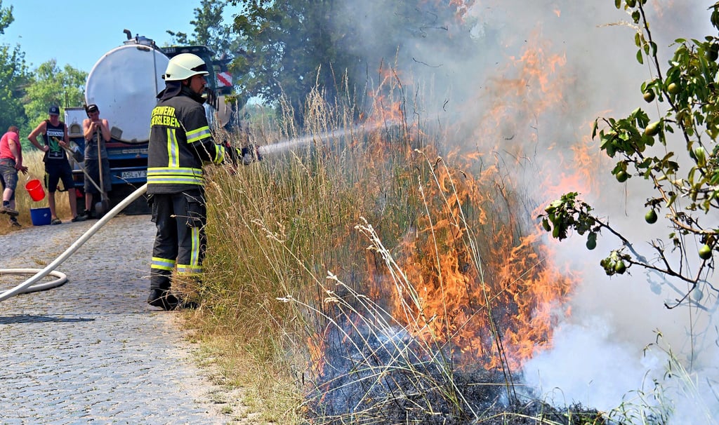 Die Flammen fraßen sich durch das Grasland, immer am Feldrand entlang.