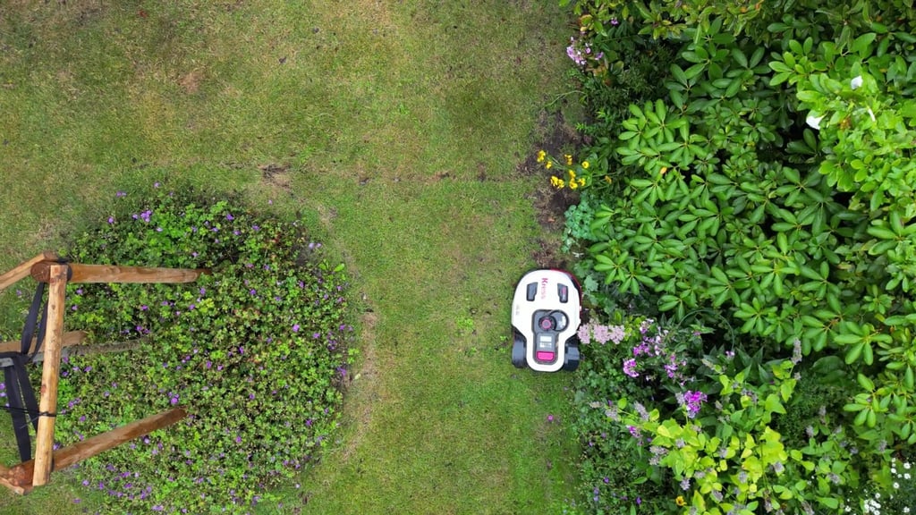 Naturschützer warnen davor, dass Mähroboter eine Gefahr sein können - vor allem für nachtaktive Tiere. (Symbolbild)