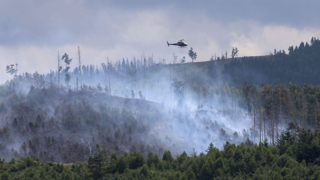 Bei einem Wakdbrand nahe Goslar waren zahlreiche Feuerwehren gefordert, eingesetzt wurden auch Hubschrauber und das Harzer Löschflugzeug "Hexe 1".