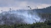 Bei einem Wakdbrand nahe Goslar waren zahlreiche Feuerwehren gefordert, eingesetzt wurden auch Hubschrauber und das Harzer Löschflugzeug "Hexe 1". 