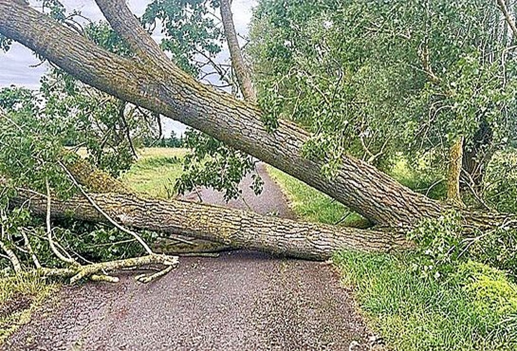 Rings um Kathendorf und Rätzlingen haben umgestürzte Bäume zahlreiche Wege blockiert.