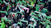Fans des VfL Wolfsburg.