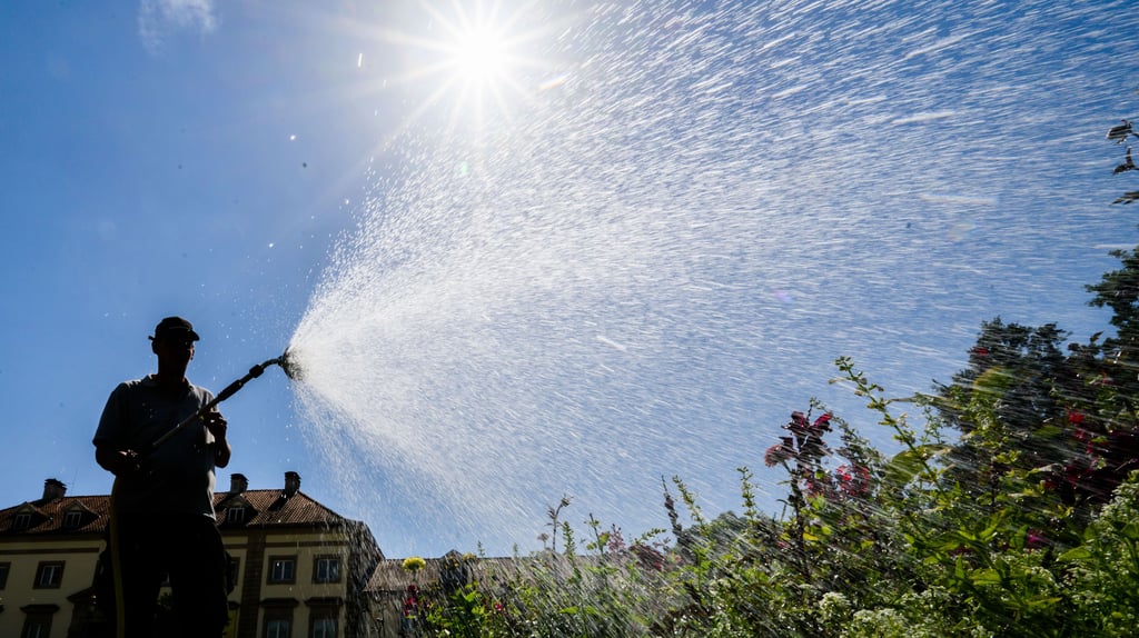 Hitze in Deutschland: Auch bei der Bewässerung von Gärten sollte umsichtig gehandelt werden.