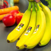 Ein starkes Zeichen für einen sozial verträglicheren, konventionellen Bananenanbau.