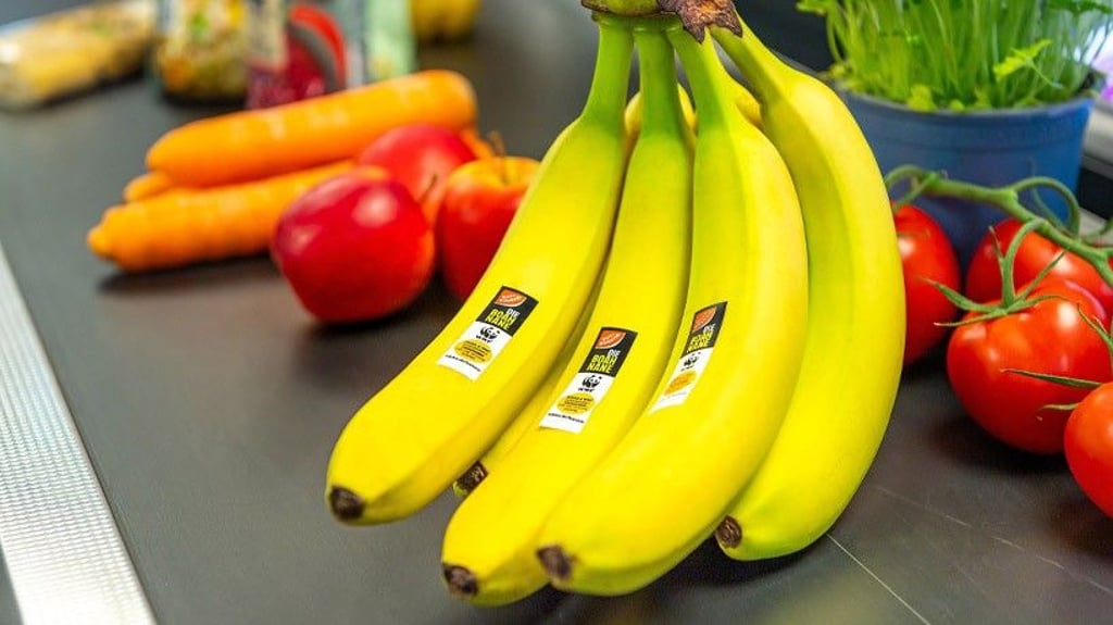 Ein starkes Zeichen für einen sozial verträglicheren, konventionellen Bananenanbau.