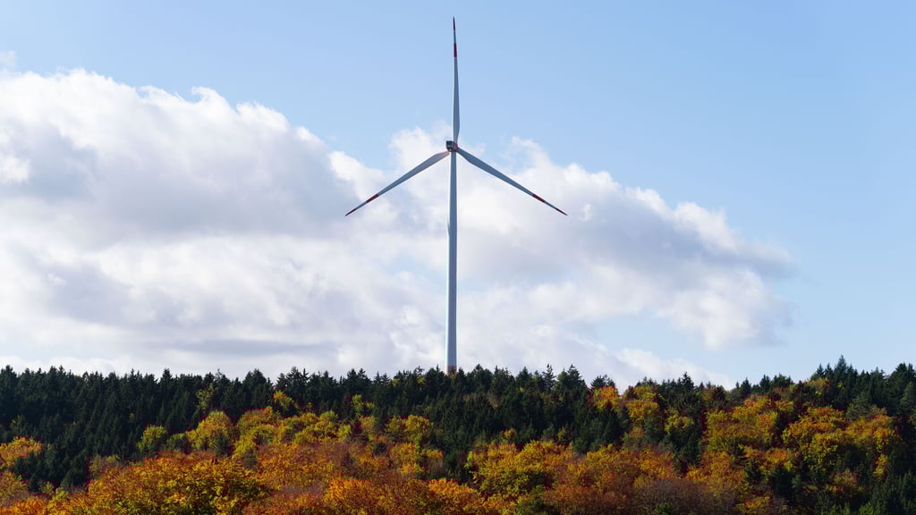 Ein Investor plant den Bau von Windrädern im Wald bei Schmölau.