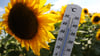Extreme Hitze und Dürre werden derzeit für den Sommer in Deutschland vorausgesagt.