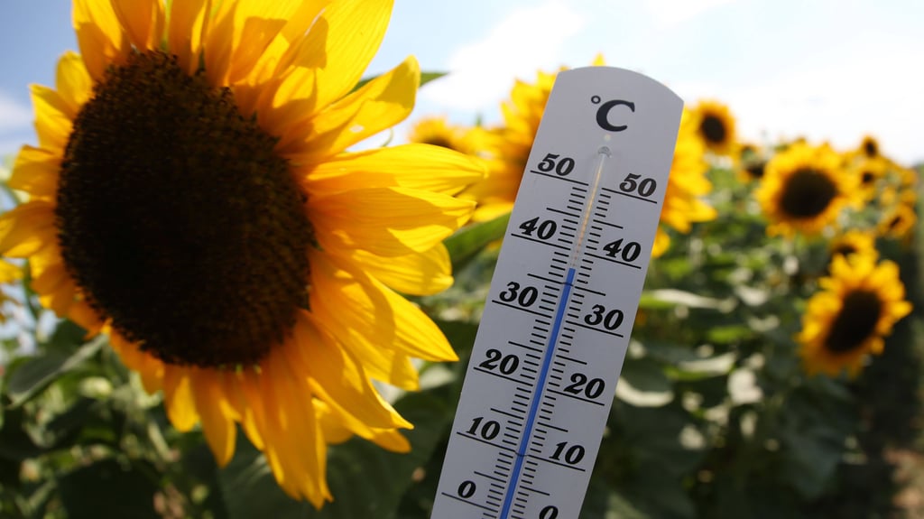 Extreme Hitze und Dürre werden derzeit für den Sommer in Deutschland vorausgesagt.