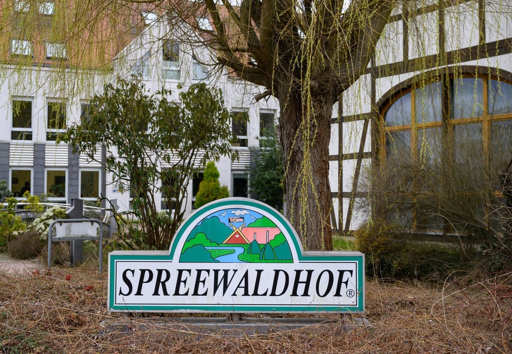 Das Unternehmen Spreewaldkonserve Golßen GmbH richtet nach Millionen-Verlusten das Geschäft mit Gurken neu aus. Ab Ende Oktober gibt es Entlassungen. (Archivfoto)
