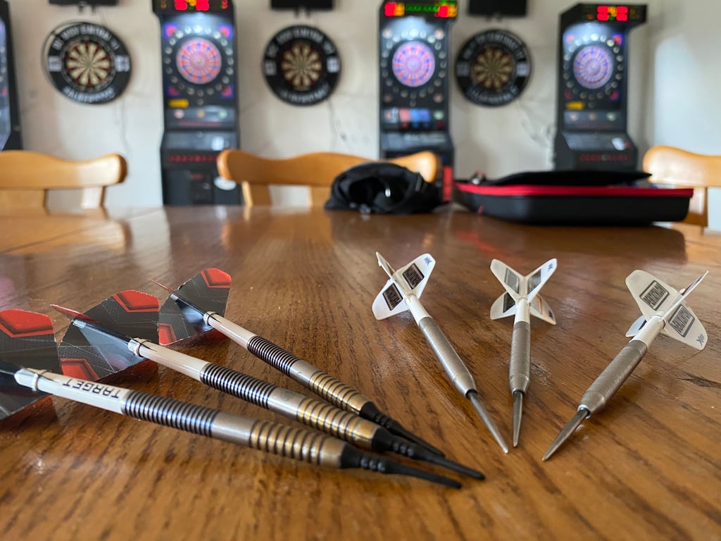 Der Dartsclub Halberstadt feiert am 4. und 5. Juli sein einjähriges Bestehen. Der Verein wächst beständig.