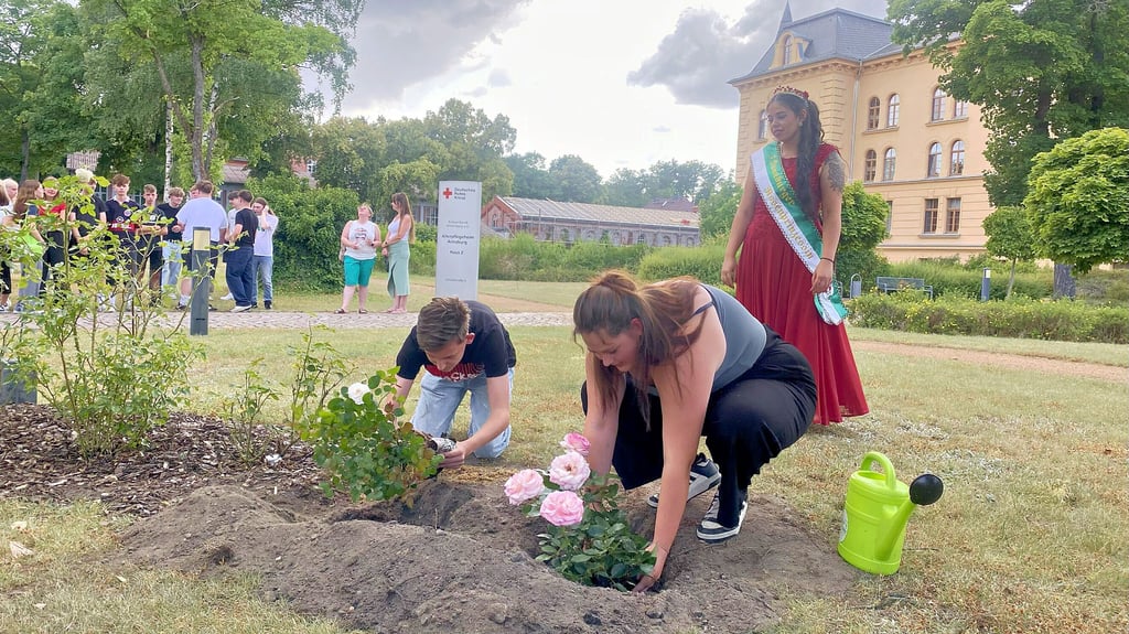 Einen Tag vor der Zeugnisübergabe pflanzten die Absolventen der Sekundarschule Annaburg, stellvertretend Wilhelm Pankrath und Hanna Hopke, in Anwesenheit der 3. Rosenprinzessin, Cäcilia Askar, zwei Rosen auf dem Gelände des Altenpflegeheims.