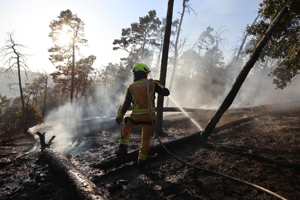 Im Bodetal bekämpft die Feuerwehr einen Waldbrand.
